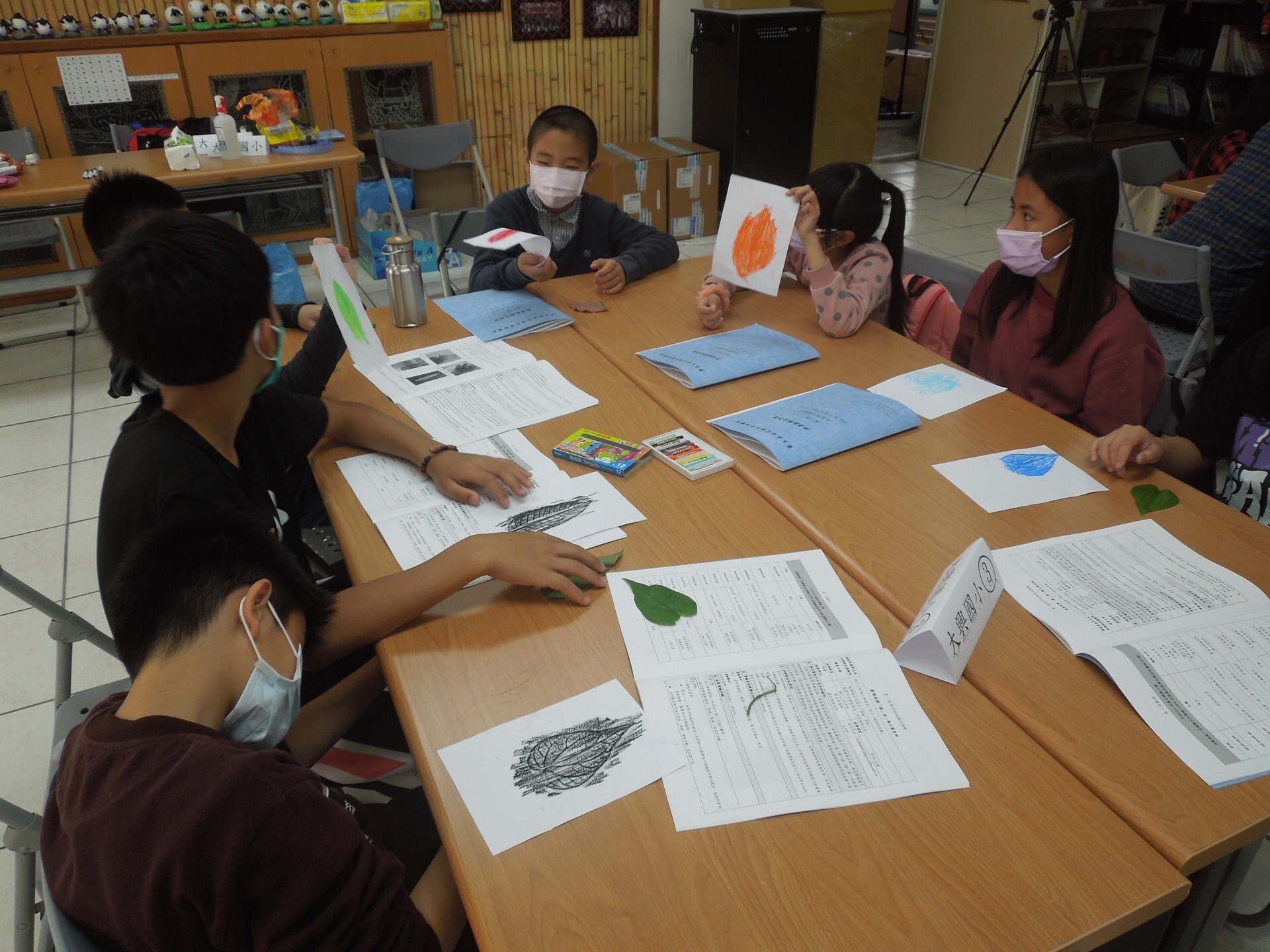 發現校園「植」美-同學葉拓成品