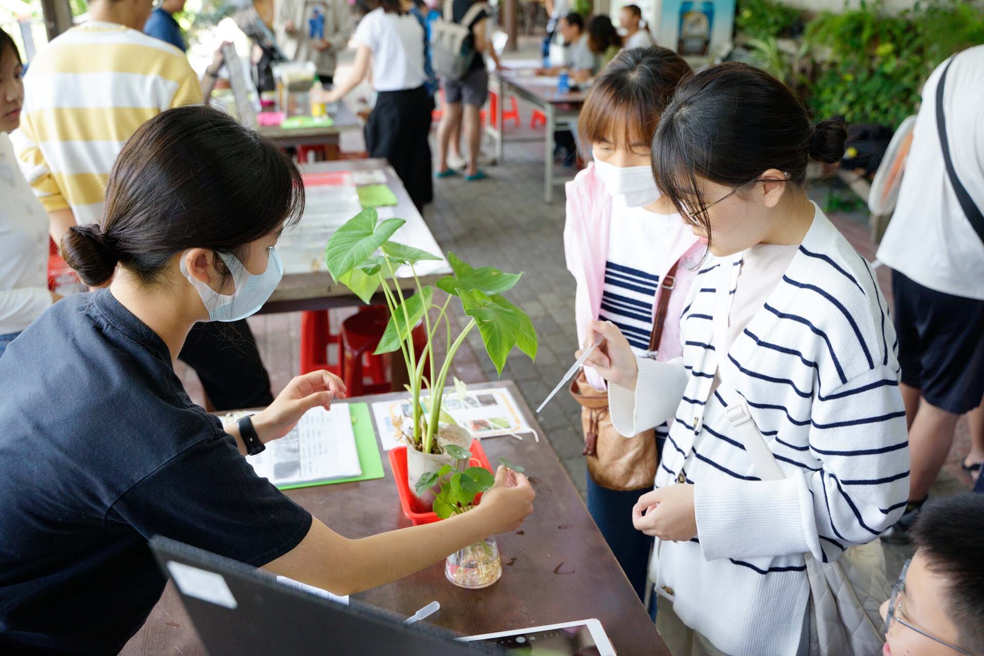 「蓮葉效應」從不同葉面結構的植物中讓民眾透過滴水法、手機顯微觀察比較