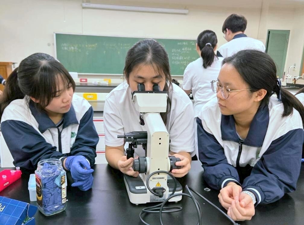 學生進行細胞計數實驗之二