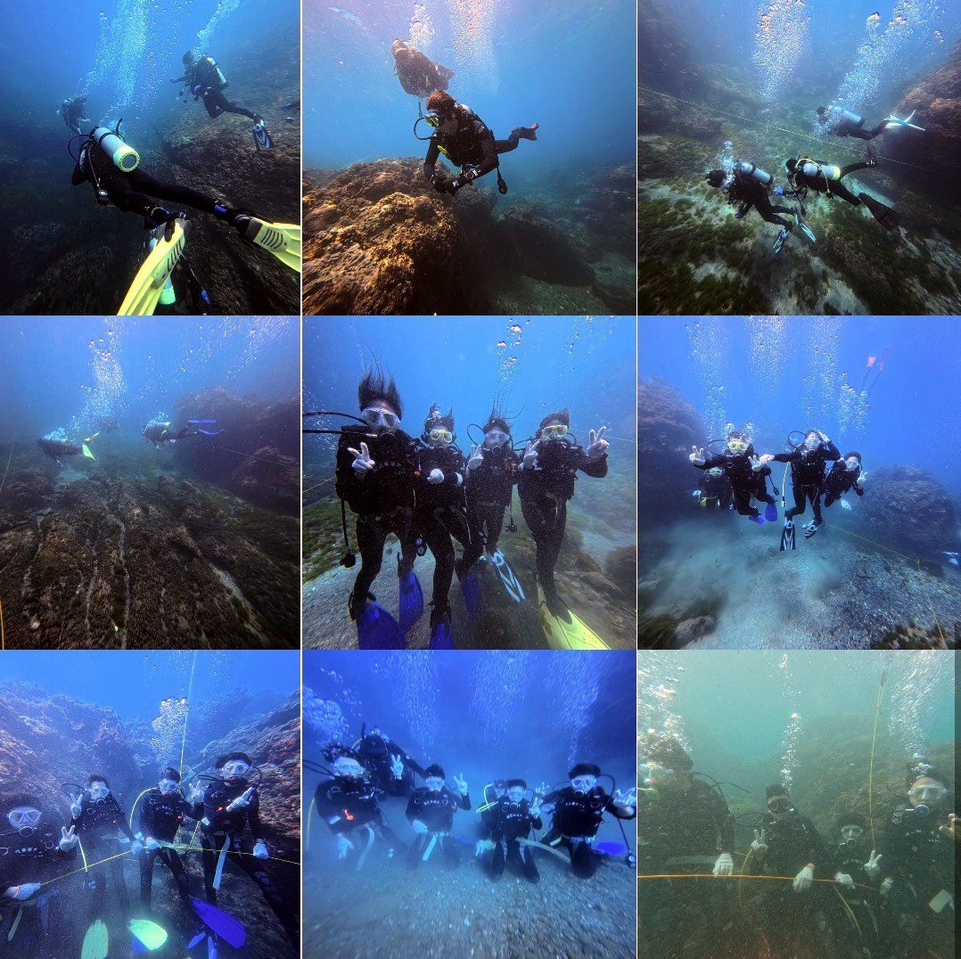 PADI潛水國際證照海中課程