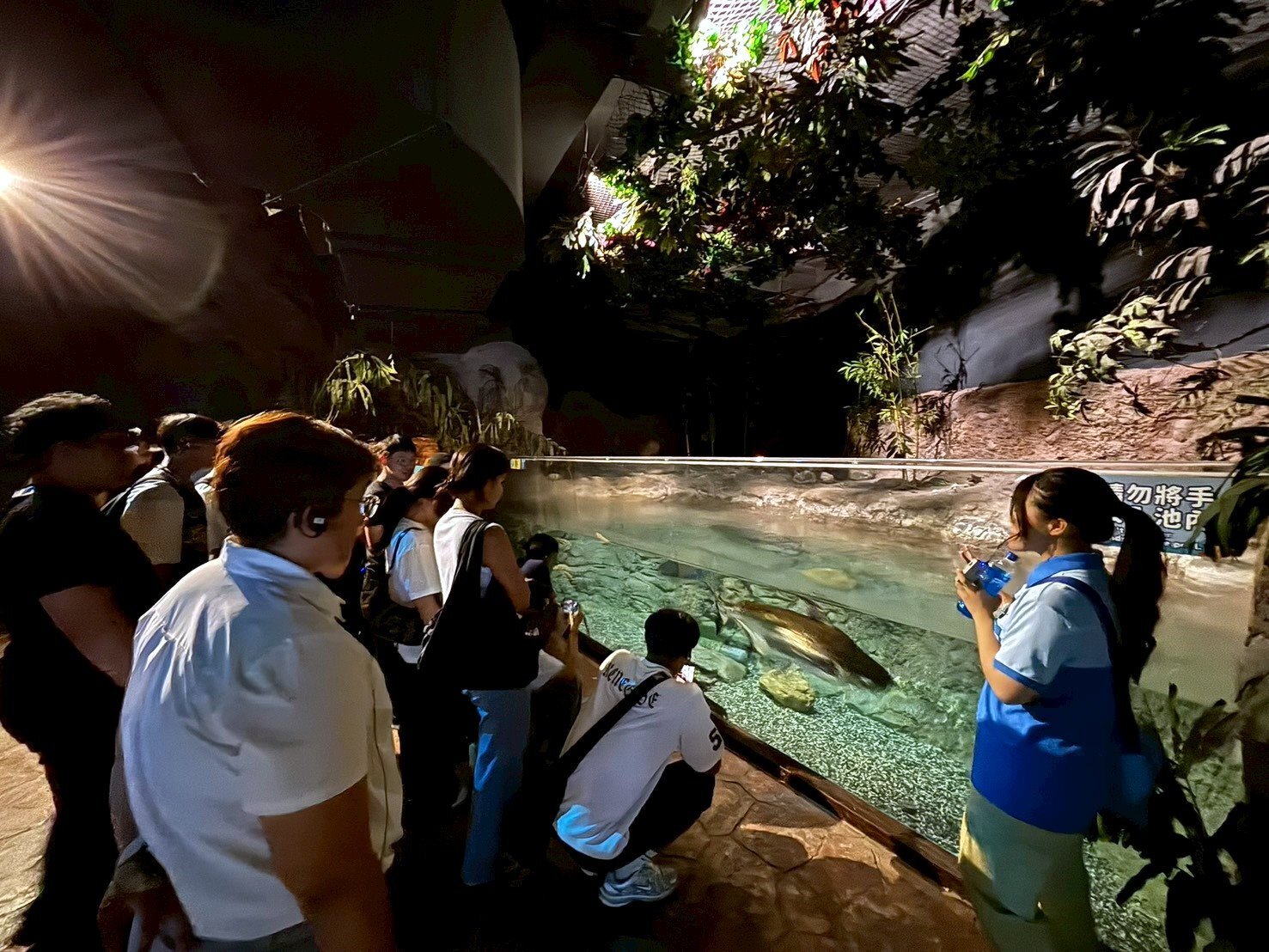 大四實習同學進行水族館生態導覽