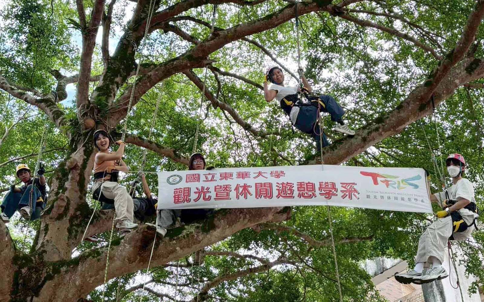 在樹上重新看見人與自然:東華觀遊系以攀樹哲學深化學生休閒反思與地方情感