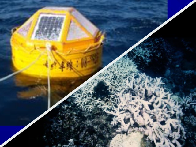 臺灣海洋環境監測之發展與展望
