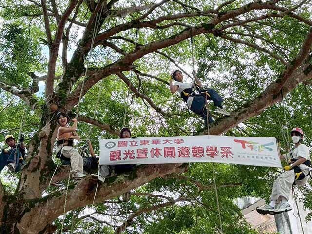 在樹上重新看見人與自然:東華觀遊系以攀樹哲學深化學生休閒反思與地方情感