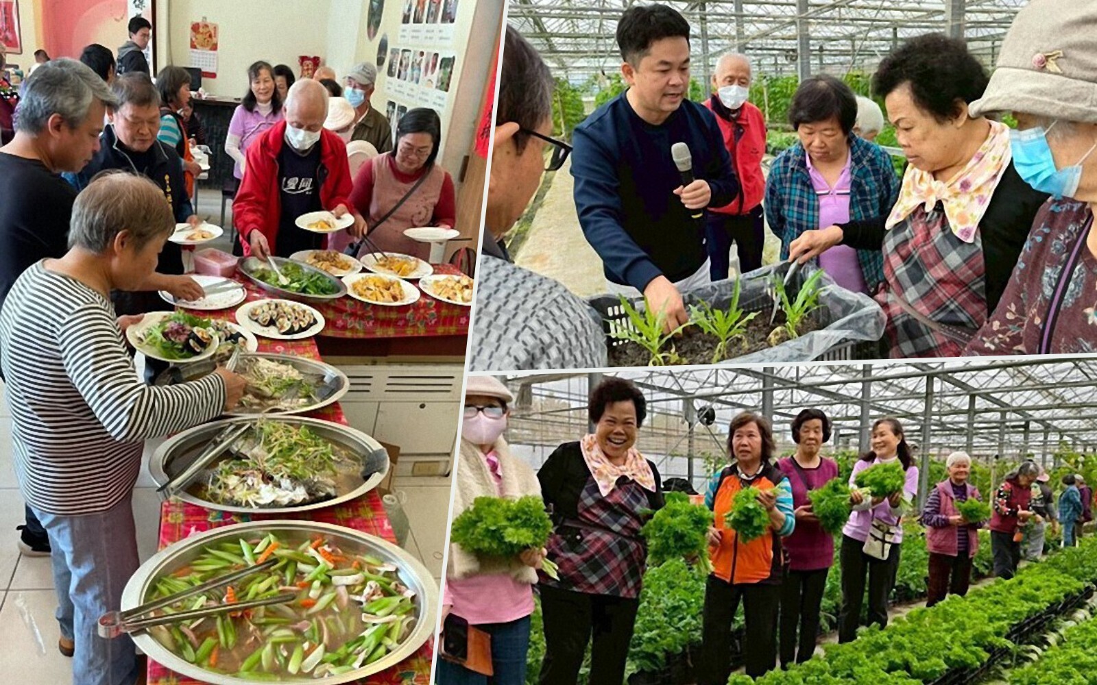從綠能到大地餐桌-東華綠電團隊攜手豐山實踐高齡共學與社區照護